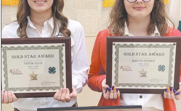 GOLD STAR AWARD WINNERS