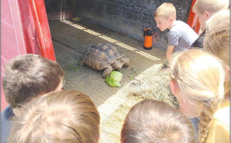 Frank Phillips College Allen Campus, ran the first week of their annual Kids College this week, with lots of activities for kids from ages 5-12. During Farm Camp, kids got to meet interesting animals, including a pair of African spurred tortoises, owned by Dr. Kristina Keeth, a veterinarian from Spearman.