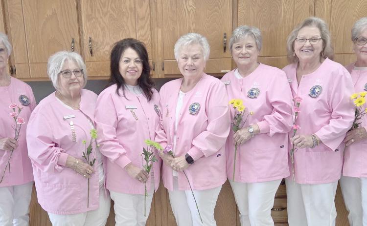 The Ochiltree General Hospital Auxiliary elected new officers at a meeting at the Senior Citizens Center recently. Pictured are, from left, first vice president Kathy Snyder, second vice president Kay Turner, third vice president Susie Estrada, secretary Judy Whitehead, treasurer Jean Pshigoda, gift shop coordinator Pat Bilson, and sunshine lady Phyllis Oquin. Not pictured are president Sharon Jenkins, gift shop coordinator Dorothy Campbell, and sunshine lady Debbie Willeford.