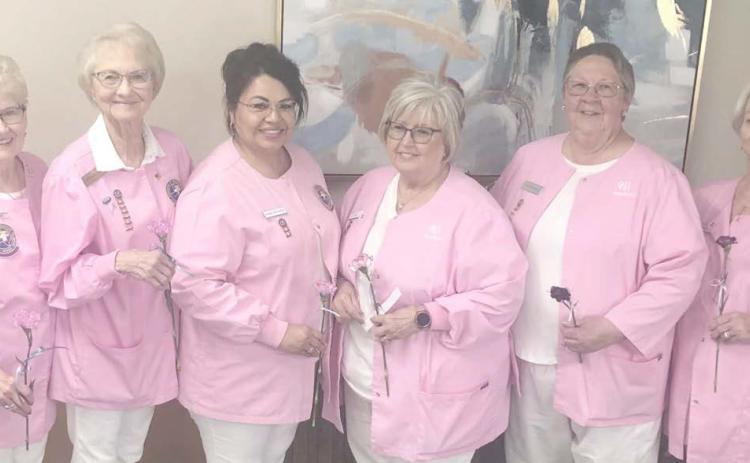 PINK LADIES ELECT OFFICERS— The Ochiltree General Hospital Auxilliary elected new officers at their meeting at the Senior Citizens Center on April 1. Pictured are, from left, treasurer Janell Cochran, secretary Kathy Allred, third vice president Susie Estrada, second vice president Kay Turner, first vice president Sharon Jenkins, and president Ethel Rudd.