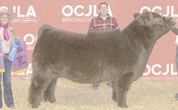 GRAND CHAMPION STEER