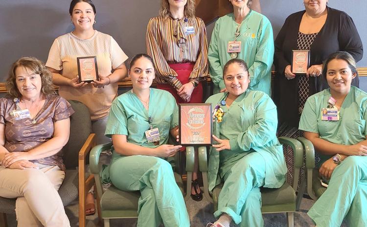 PARADE WINNERS RECOGNIZED— The winners of the Wheatheart of the Nation Celebration parade in August were honored by the Wheatheart of the Nation Celebration Committee earlier this month. Among the winners recognized were, from left, front row, Jerra Lowrey, Idalia Gonzalez, Reyna Mendoza, and Ana Becerril, all from Ochiltree General Hospital; and back row, Bianca Peregrino from North Plains Electric Cooperative, Shannon Jines and Barbara Ledbetter from OGH, and Michelle Cabrera from Interstate Bank.