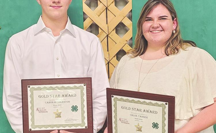 GOLD STAR AWARD WINNERS Ochiltree County 4-H held its annual awards ceremony Monday night at the Expo Center. Winners of the Gold Star Awards, the highest county awards that can be given to a 4-H member, were, from left, Conor Huddleston and Chloe Tanner. Huddleston and Tanner received a plaque from the county, a pin, and a certificate from the state.