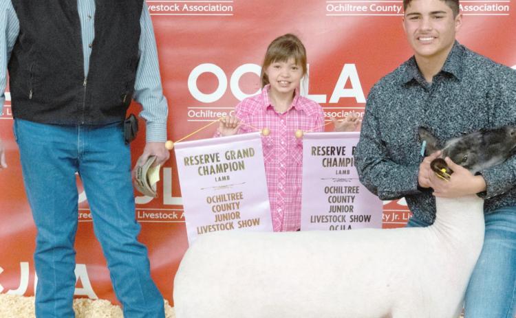 RESERVE GRAND CHAMPION SHEEP